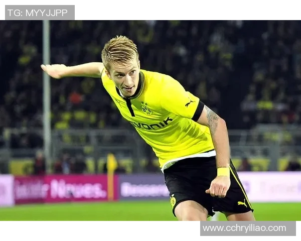 搞笑足球明星罗伊斯的趣事与精彩瞬间大揭秘 搞笑足球明星罗伊斯的趣事与精彩瞬间大揭秘