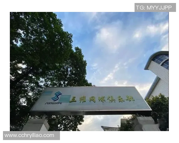 杭州网球队运营策略深度分析与市场发展前景探讨 杭州网球队运营策略深度分析与市场发展前景探讨