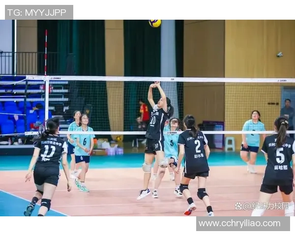 南京排球队最新比赛经验分享排球赛场的十个成功秘诀