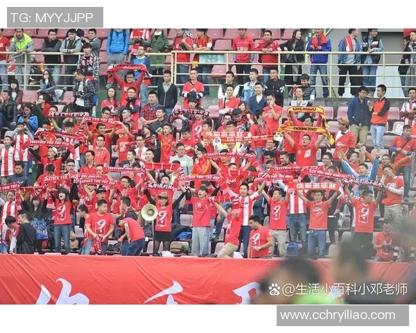 南京足球队与武汉足球队赛后分析实力对比与战术探讨