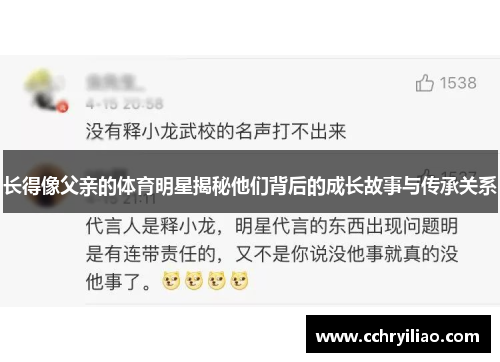 长得像父亲的体育明星揭秘他们背后的成长故事与传承关系