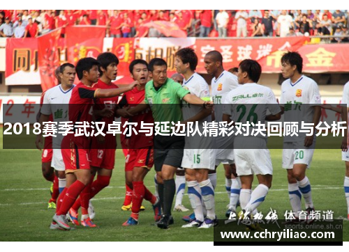 2018赛季武汉卓尔与延边队精彩对决回顾与分析