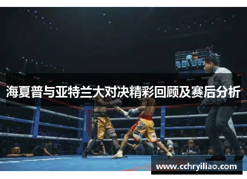 海夏普与亚特兰大对决精彩回顾及赛后分析